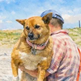 海辺の犬・ララ子の炎上は本当？批判された理由と現在の様子を徹底解説